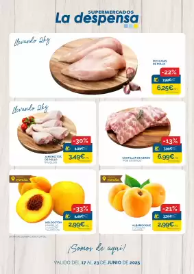 Folleto Supermercados La Despensa (válido hasta el 23-06)