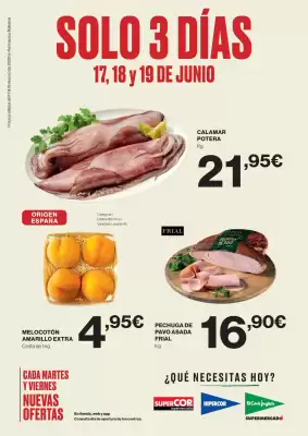 Folleto El Corte Inglés (válido hasta el 19-06)