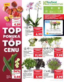 Kaufland SK akciós újság hét 25 Oldal 7
