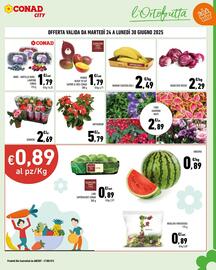 Volantino Conad City Pagina 3