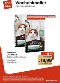 Zoo & Co Prospekt woche 25 Seite 1