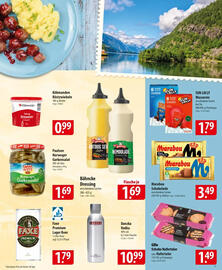 Famila Nord Ost Prospekt woche 26 Seite 9