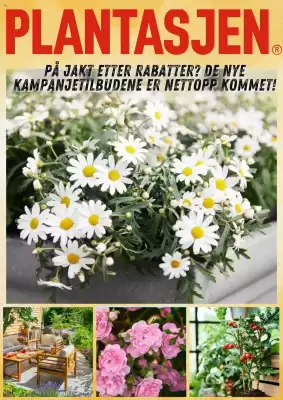 Plantasjen Kundeavis (gyldig til 3-07)