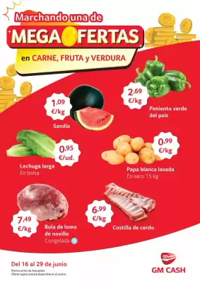 Folleto GM Cash & Carry (válido hasta el 29-06)