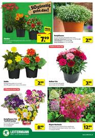 Leitermann Baumarkt Prospekt woche 24 Seite 2