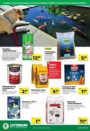 Leitermann Baumarkt Prospekt woche 24 Seite 20