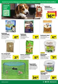 Leitermann Baumarkt Prospekt woche 24 Seite 23