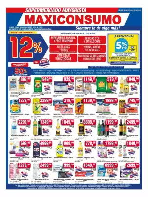Catálogo Maxiconsumo (válido hasta 22-06)