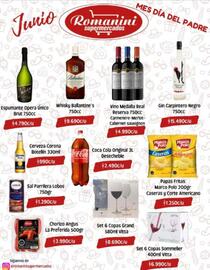 Catálogo Supermercados Romanini Página 4