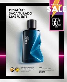 Catálogo Cyzone Página 95