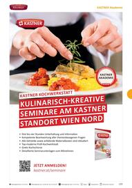Kastner Flugblatt Seite 111