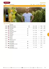 Kastner Flugblatt Seite 101