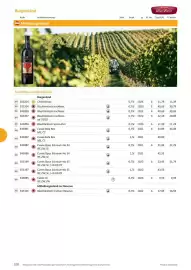 Kastner Flugblatt Seite 102