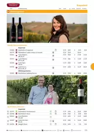 Kastner Flugblatt Seite 103