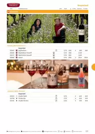 Kastner Flugblatt Seite 109