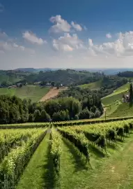 Kastner Flugblatt Seite 112