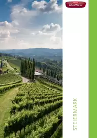 Kastner Flugblatt Seite 113