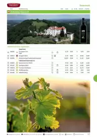 Kastner Flugblatt Seite 119