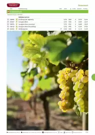 Kastner Flugblatt Seite 123