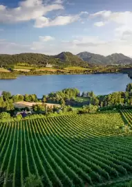 Kastner Flugblatt Seite 130