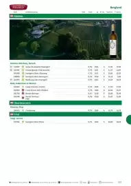 Kastner Flugblatt Seite 133