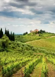 Kastner Flugblatt Seite 134