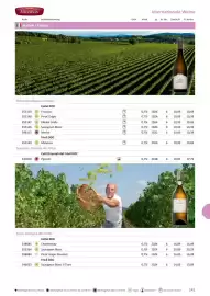 Kastner Flugblatt Seite 143