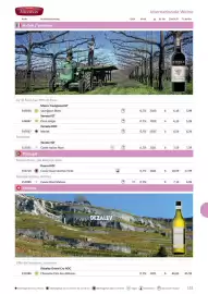 Kastner Flugblatt Seite 153