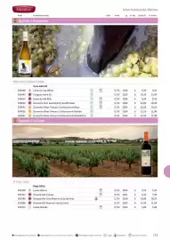 Kastner Flugblatt Seite 155