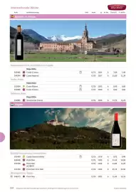 Kastner Flugblatt Seite 156