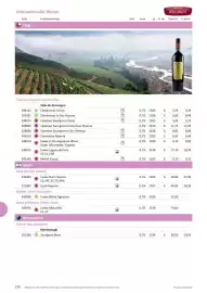 Kastner Flugblatt Seite 158