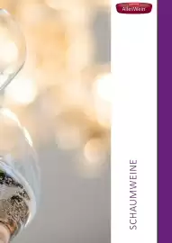 Kastner Flugblatt Seite 161