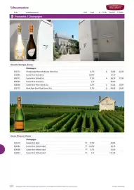 Kastner Flugblatt Seite 164