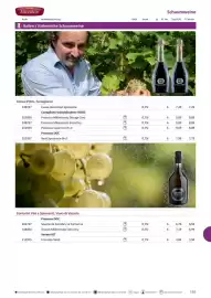 Kastner Flugblatt Seite 167