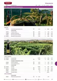 Kastner Flugblatt Seite 169