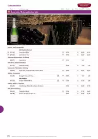 Kastner Flugblatt Seite 172