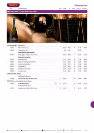 Kastner Flugblatt Seite 175