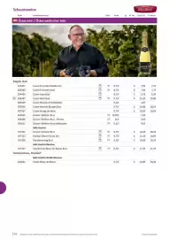 Kastner Flugblatt Seite 176