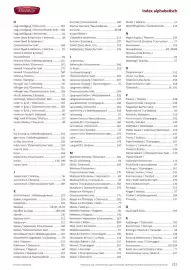 Kastner Flugblatt Seite 213