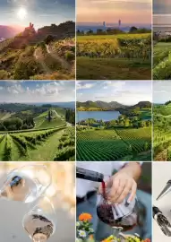 Kastner Flugblatt Seite 22