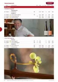 Kastner Flugblatt Seite 34