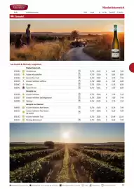 Kastner Flugblatt Seite 35