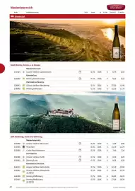 Kastner Flugblatt Seite 42