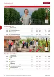 Kastner Flugblatt Seite 44