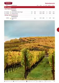 Kastner Flugblatt Seite 51