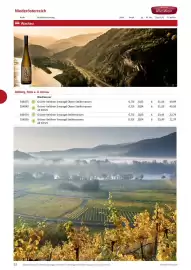 Kastner Flugblatt Seite 54