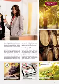 Kastner Flugblatt Seite 7