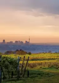 Kastner Flugblatt Seite 72