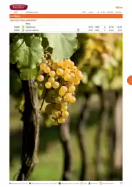 Kastner Flugblatt Seite 75