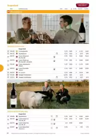 Kastner Flugblatt Seite 86